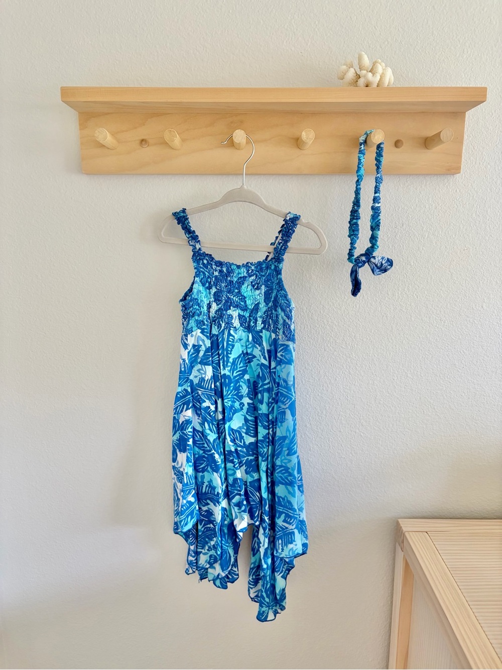 Blue Ginger Point Dress